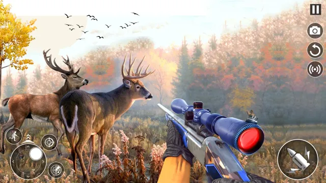 The Hunter - Hunting Games 3D | Games | XWorld