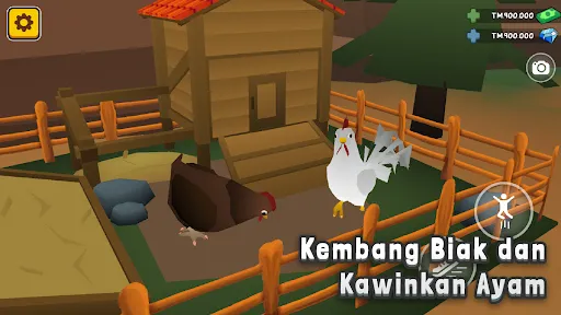 Aku si JURAGAN AYAM | Permainan | XWorld