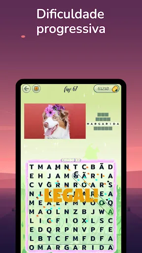 Caça Palavra com Fotos | Jogos | XWorld
