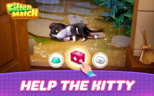 Kitten Match | Games | XWorld