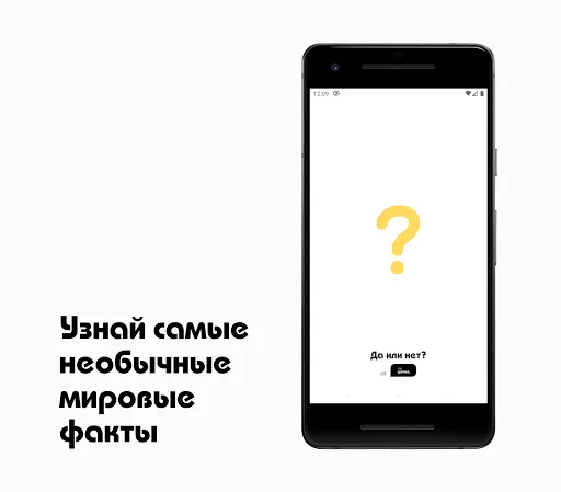 Да или нет? Необычные факты. | Игры | XWorld